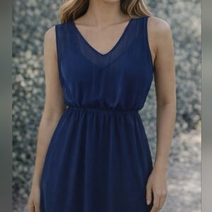 Express Navy Sheer Dress